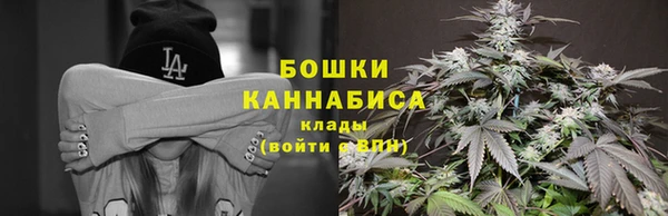 мдпв Пересвет