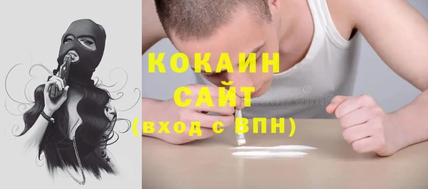 мдпв Пересвет