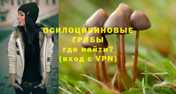мдпв Пересвет